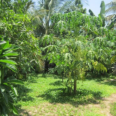 Local Beach Homestay Hoi An Exterior foto